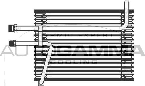 Autogamma 112210 - Випарник, кондиціонер autozip.com.ua