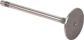 BAPMIC BF0425670004 - Впускний клапан autozip.com.ua