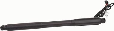 BAPMIC BF0113480013 - Газова пружина, кришка багажник autozip.com.ua