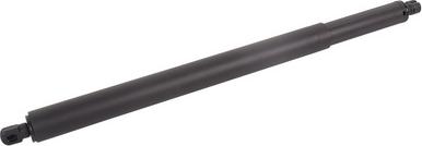 BAPMIC BF0113480153 - Газова пружина, кришка багажник autozip.com.ua