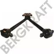 BergKraft BK8503876 - Важіль незалежної підвіски колеса autozip.com.ua