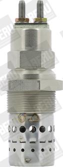 BERU GF529 - Свічка розжарювання autozip.com.ua