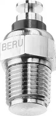 BorgWarner (BERU) ST054 - Датчик, температура охолоджуючої рідини autozip.com.ua