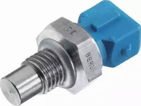 BorgWarner (BERU) ST088 - Датчик, температура охолоджуючої рідини autozip.com.ua