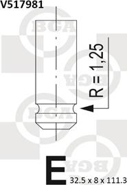 BGA V517981 - Випускний клапан autozip.com.ua