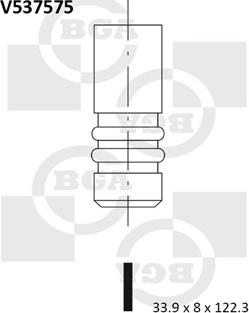 BGA V537575 - Впускний клапан autozip.com.ua
