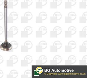 BGA V611982 - Випускний клапан autozip.com.ua