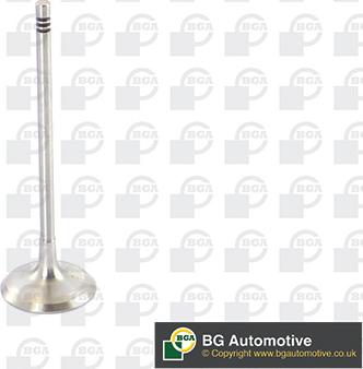 BGA V090105 - Впускний клапан autozip.com.ua