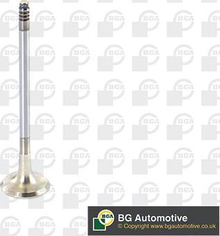 BGA V090101 - Випускний клапан autozip.com.ua