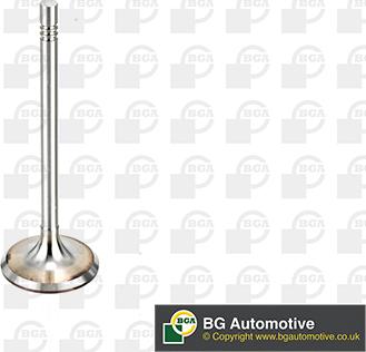 BGA V164520 - Впускний клапан autozip.com.ua