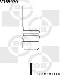 BGA V165970 - Впускний клапан autozip.com.ua