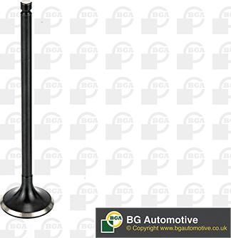 BGA V165411 - Випускний клапан autozip.com.ua