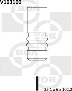 BGA V163100 - Впускний клапан autozip.com.ua