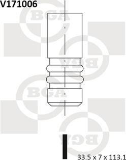 BGA V171006 - Впускний клапан autozip.com.ua