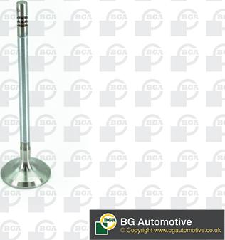 BGA V200074 - Впускний клапан autozip.com.ua