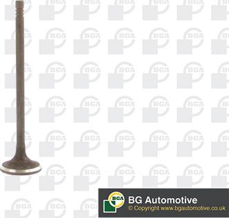 BGA V230711 - Випускний клапан autozip.com.ua