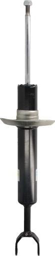 BILSTEIN 22-031167 - Амортизатор autozip.com.ua