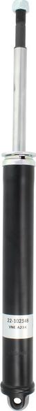 BILSTEIN 22-102348 - Амортизатор autozip.com.ua