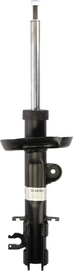 BILSTEIN 22-242433 - Амортизатор autozip.com.ua
