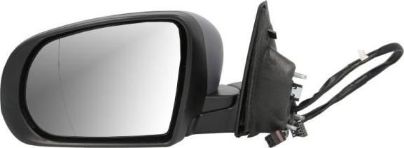 BLIC 5402-55-2222316P - Зовнішнє дзеркало autozip.com.ua