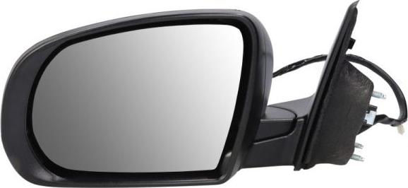 BLIC 5402-55-2222310P - Зовнішнє дзеркало autozip.com.ua