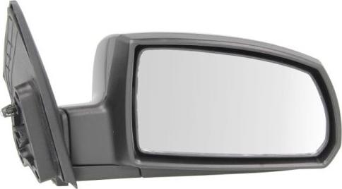 BLIC 5402-53-2001548P - Зовнішнє дзеркало autozip.com.ua