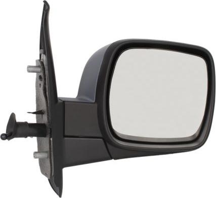BLIC 5402-04-1121560P - Зовнішнє дзеркало autozip.com.ua