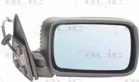 BLIC 5402-04-1121289P - Зовнішнє дзеркало autozip.com.ua