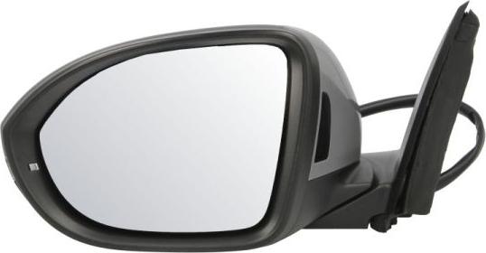 BLIC 5402-01-2542314P - Зовнішнє дзеркало autozip.com.ua