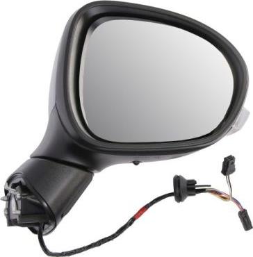 BLIC 5402-01-2542313P - Зовнішнє дзеркало autozip.com.ua