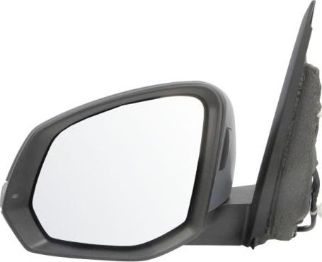 BLIC 5402-01-2583312P - Зовнішнє дзеркало autozip.com.ua