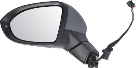 BLIC 5402-01-2526310P - Зовнішнє дзеркало autozip.com.ua