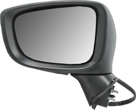 BLIC 5402-14-2001705P - Зовнішнє дзеркало autozip.com.ua