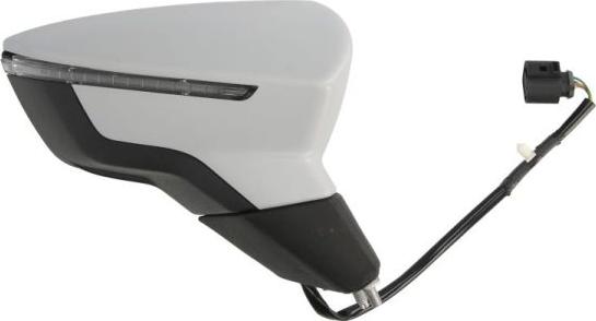 BLIC 5402-10-2002302P - Зовнішнє дзеркало autozip.com.ua