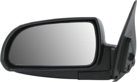 BLIC 5402-20-2001375P - Зовнішнє дзеркало autozip.com.ua