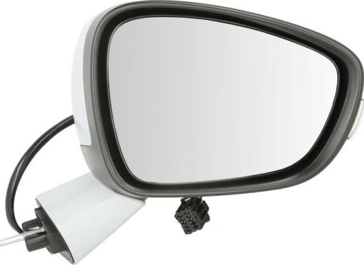 BLIC 5402-21-044374P - Зовнішнє дзеркало autozip.com.ua
