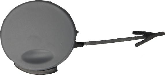 BLIC 5513-00-5079970Q - Заслінка, буксирний гак autozip.com.ua
