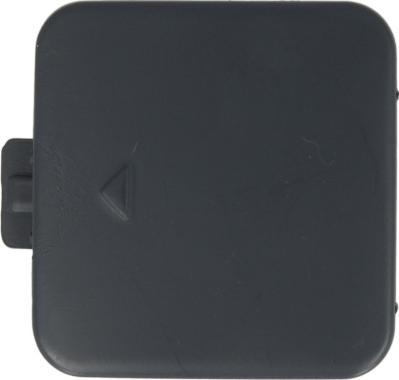 BLIC 5513-00-0066920P - Заслінка, буксирний гак autozip.com.ua