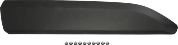 BLIC 5703-04-0554572P - Облицювання / захисна накладка, двері autozip.com.ua