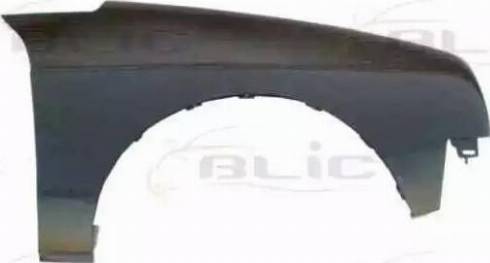 BLIC 6504-04-0516314P - Крило autozip.com.ua