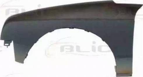BLIC 6504-04-0516313P - Крило autozip.com.ua