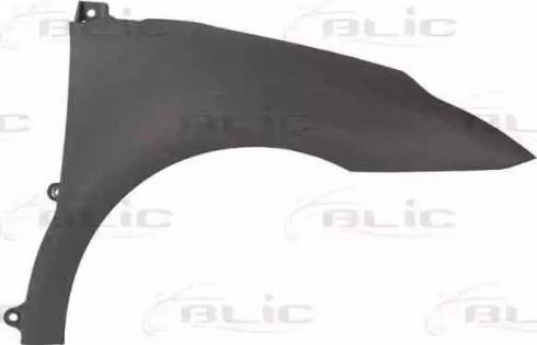 BLIC 6504-04-0537312P - Крило autozip.com.ua
