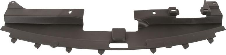 BLIC 6502-03-3212209PP - Облицювання передка autozip.com.ua
