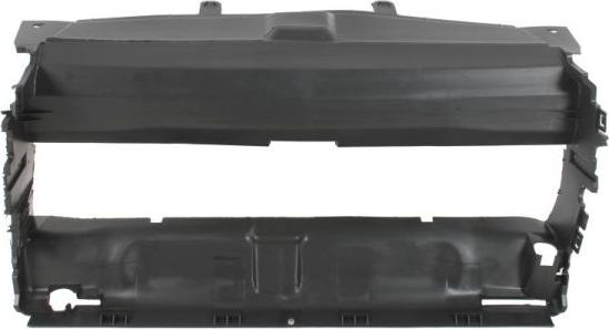 BLIC 6502-07-5724975P - Решітка вентилятора, буфер autozip.com.ua