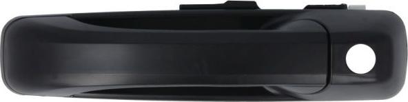 BLIC 6010-55-008401P - Ручка двері autozip.com.ua