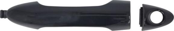 BLIC 6010-53-1746401P - Ручка двері autozip.com.ua
