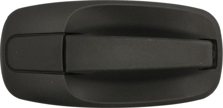 BLIC 6010-09-041410P - Ручка двері autozip.com.ua