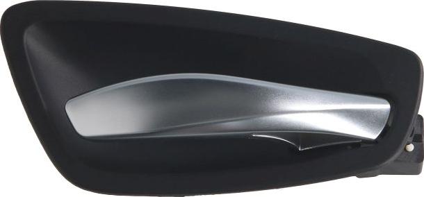 BLIC 6010-05-020408P - Ручка двері autozip.com.ua