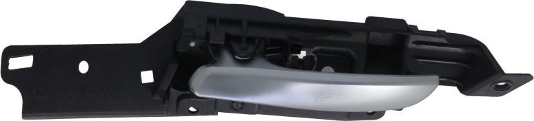 BLIC 6010-05-022409P - Ручка двері autozip.com.ua
