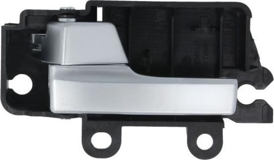 BLIC 6010-03-044409PP - Ручка двері autozip.com.ua